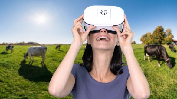 virtuelle 360 Grad Bauernhof Tour mit jeder VR-Brille erleben