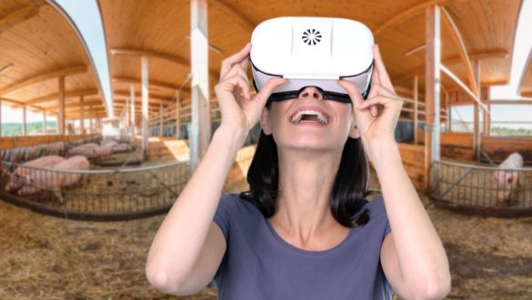 virtueller Bauernhof - im 360 Grad Video mit der VR-Brille erleben