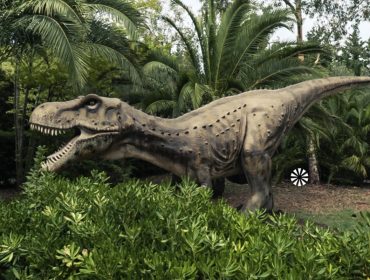 360° Marketingkampagne